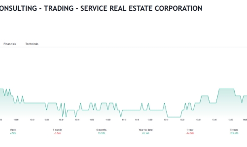 Thiếu tiền, công ty của con gái Chủ tịch HQC mới mua được 0,05% số lượng cổ phiếu đã đăng ký