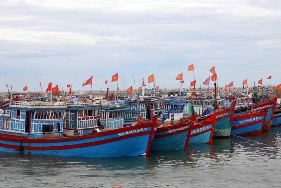 Tàu đánh cá phải có giấy phép khai thác mới được ra khơi.