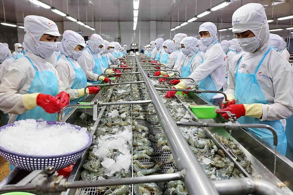 Xuất khẩu thủy sản được kỳ vọng hồi phục nhờ lạm phát tại Mỹ hạ nhiệt, chỉ số niềm tin người tiêu dùng bắt đầu phục hồi rõ nét cũng như nhu cầu đơn hàng cải thiện để chuẩn bị cho mùa lễ hội cuối năm.