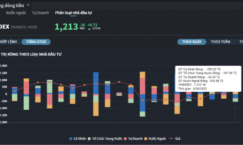 Nhà đầu tư cá nhân 