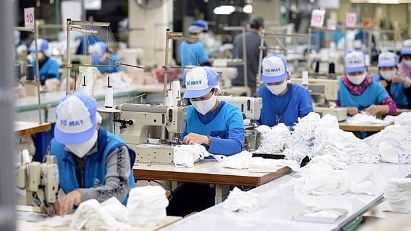 Top 500 largest Vietnamese private enterprises in 2021 named