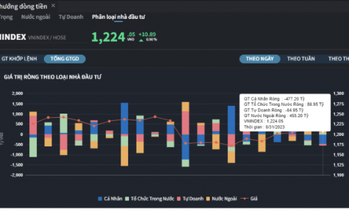 VIC bị khối ngoại xả mạnh, cá nhân và tự doanh cùng nhau gom hàng 
