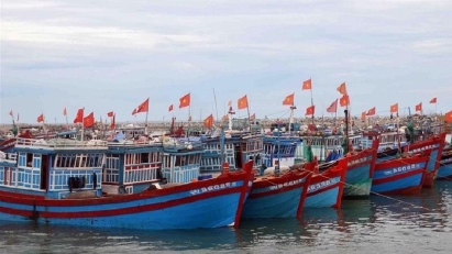 Fishing fleet cut by 10,000 vessels following EC recommendations