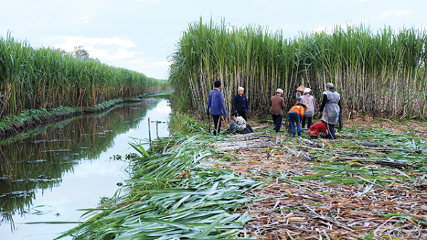 Ngăn chặn tình trạng nâng giá đường để trục lợi