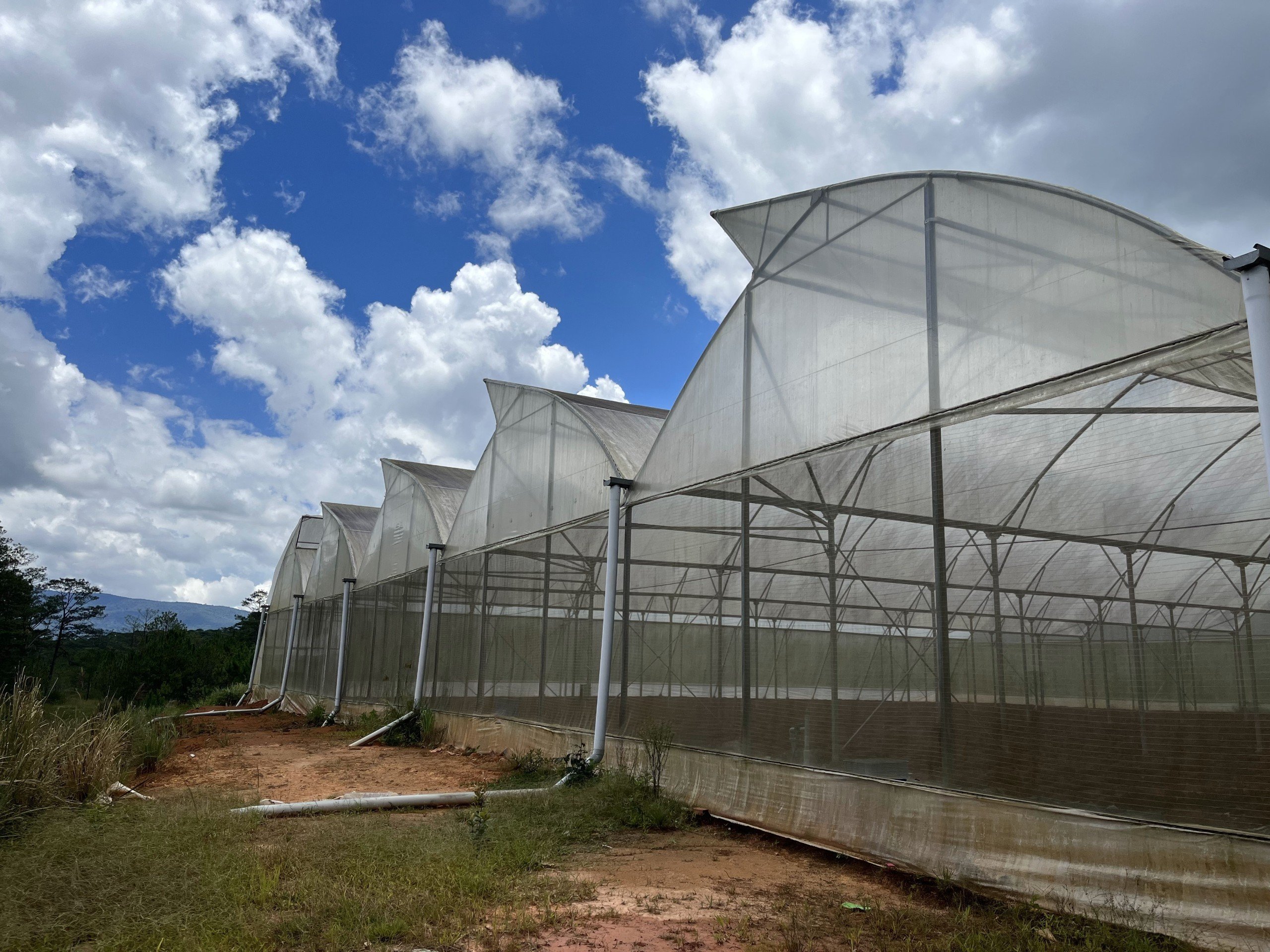 Nh&agrave; m&agrave;ng được mở c&aacute;nh hướng l&ecirc;n trời đ&oacute;n gi&oacute;, giảm chi ph&iacute; đầu tư c&aacute;nh quạt. Ảnh: An Thơ