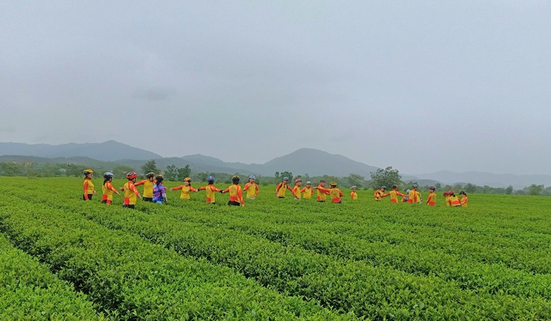 Nhiều đoàn khách du lịch đến Hà Tĩnh lựa chọn tham quan, trải nghiệm tại các đồi chè sinh thái ở vùng thượng huyện Hương Sơn