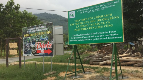 8 tháng, cả nước thu gần 2.000 tỷ tiền dịch vụ môi trường rừng