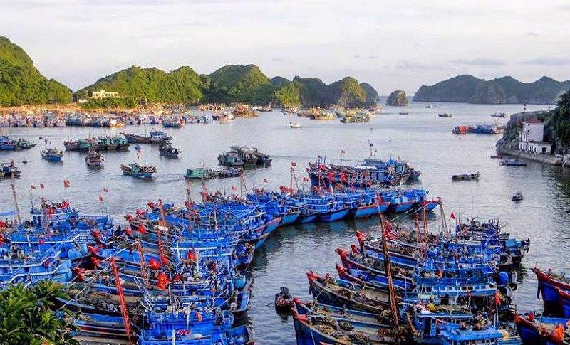 Việc quy định cứng danh mục các hạ tầng dự kiến phát triển sẽ khiến các dự án có nhu cầu lại không nằm trong quy hoạch.