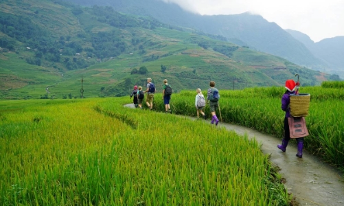 Doanh thu du lịch kỳ nghỉ lễ 2/9 không như kỳ vọng