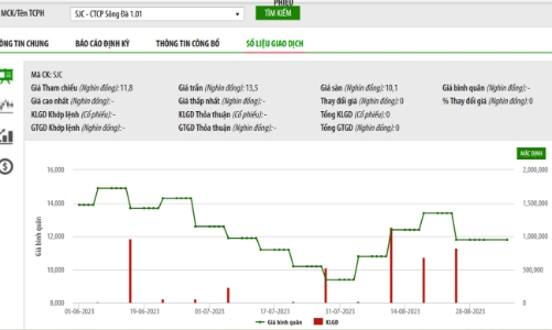 Sau án phạt, Uỷ viên Hội đồng quản trị SJC đã bán hết 13,1% vốn tại Sông Đà 1.01