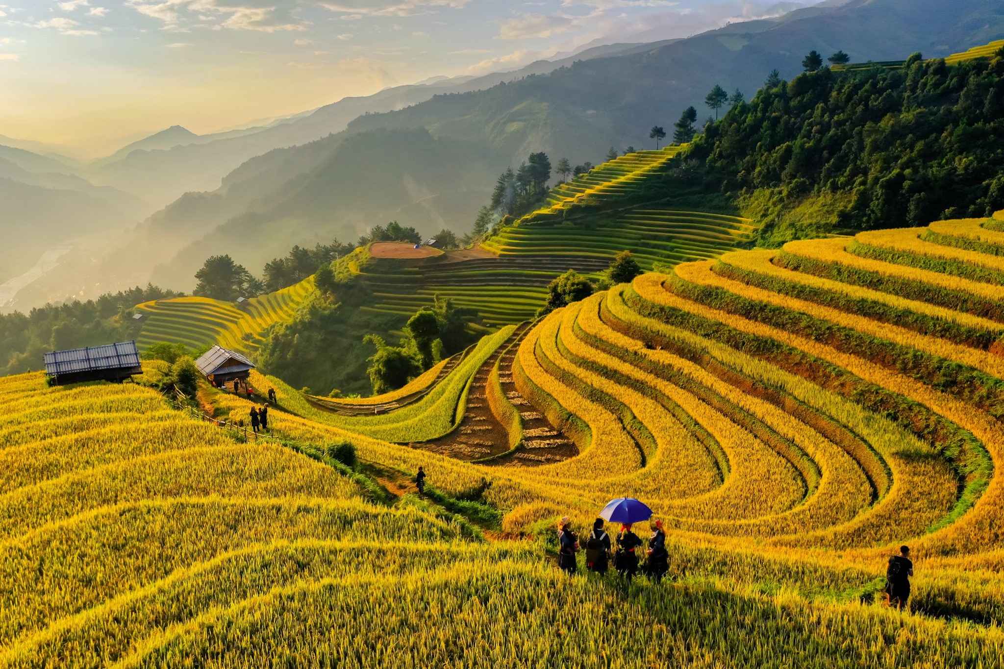 Một trong những tuyến điểm lên ngôi vào mùa du lịch thu phải kể đến hành trình Đông Bắc, Tây Bắc với mùa lúa chín.