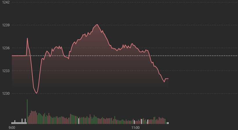 Diễn biến VN-Index sáng nay.