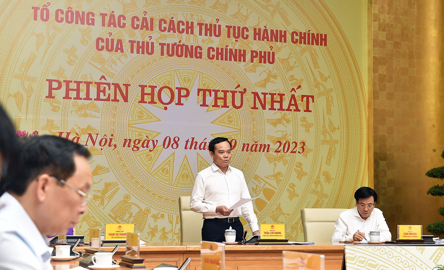 Phó Thủ tướng Trần Lưu Quang: 