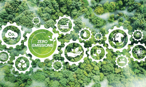 Hướng tới nền kinh tế carbon thấp: Yếu và thiếu nhân lực chuyển đổi xanh  