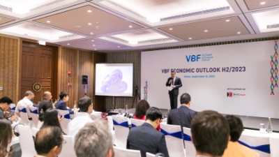 VBF conference: Economy being driven by domestic demand