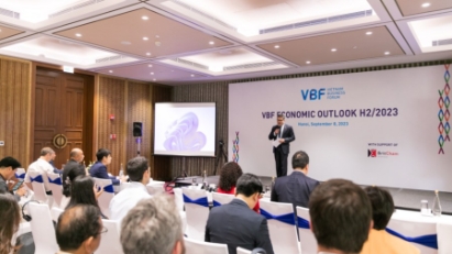 VBF conference: Economy being driven by domestic demand