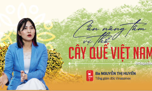 Cần nâng tầm, vị thế cây quế Việt Nam