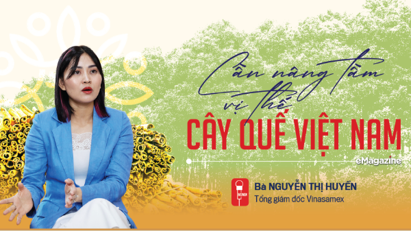 Cần nâng tầm, vị thế cây quế Việt Nam