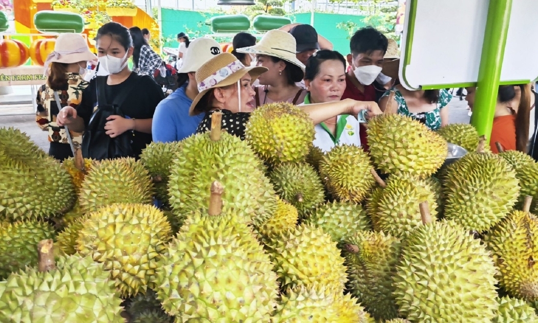 Sản xuất, xuất khẩu sầu riêng phải tuân thủ quy định về mã số vùng trồng.