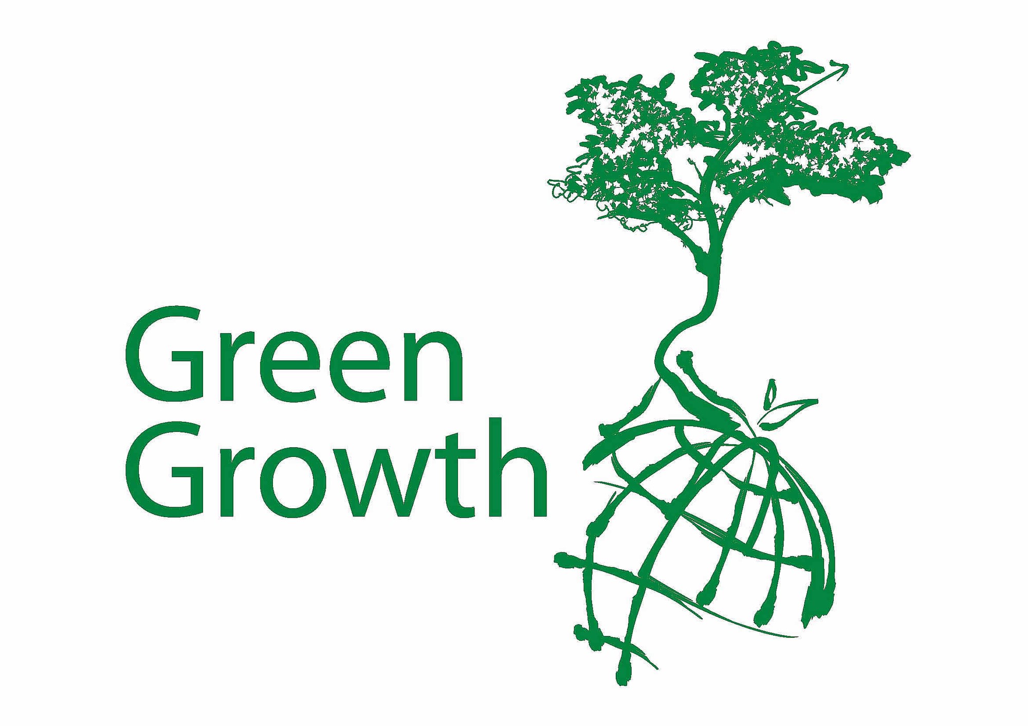 Việt Nam - Nhật Bản vẫn còn nhiều dư địa để thúc đẩy hợp tác mang tính chất bổ sung cho nhau trong lĩnh vực tăng trưởng xanh.