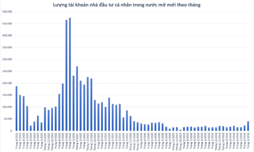 Tiền tiếp tục chảy vào chứng khoán, số tài khoản cá nhân mở mới hơn 188.000, lập kỷ lục 13 tháng