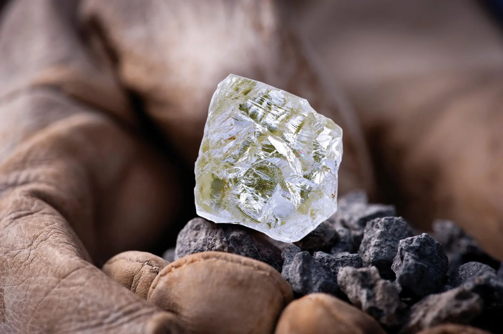 Ảnh: Natural Diamonds