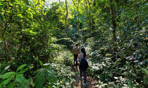 Tìm hướng khai thác dư địa du lịch trị liệu của Việt Nam