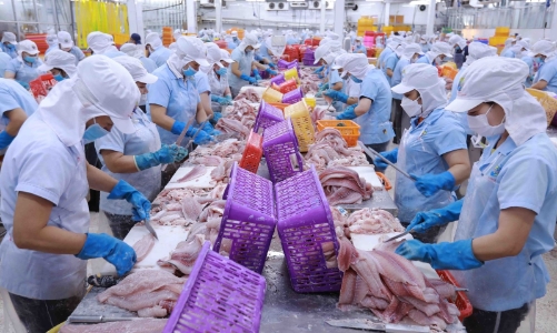 Cá tra Việt Nam được giảm thuế ở Mỹ