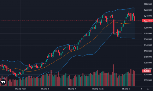 Hàng đuổi giá về bị cắt lỗ mạnh tay, VN-Index “bốc hơi” tiếp gần 15 điểm