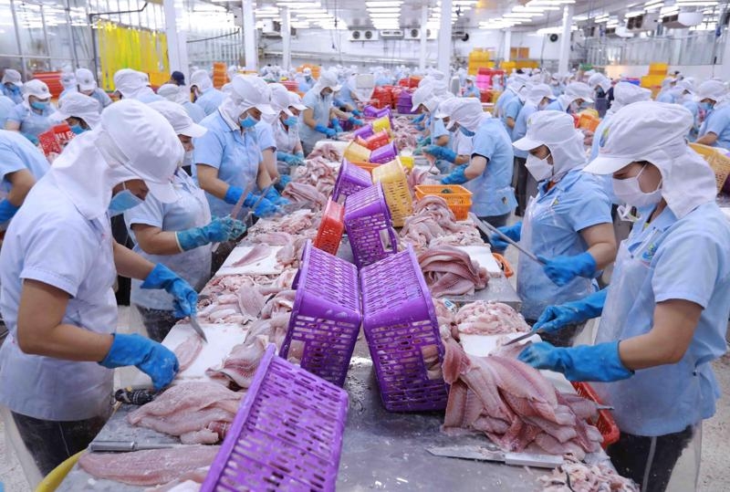 US cuts anti-dumping tax on Vietnamese tra fish