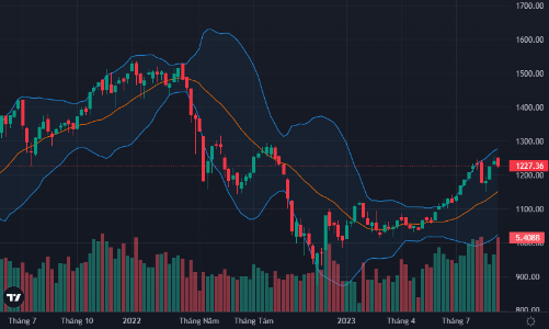 Giao dịch ETF đỡ điểm số, thanh khoản vẫn lao dốc mạnh