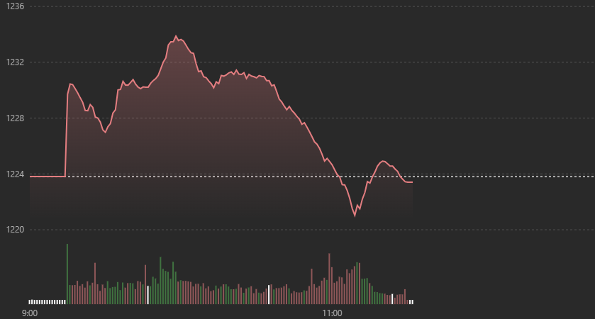 Vn-Index tăng trước giảm sau s&aacute;ng nay.