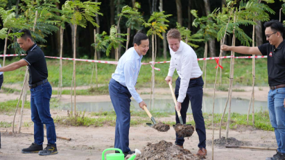 LEGO plants 50,000 trees and moves forward with production plans