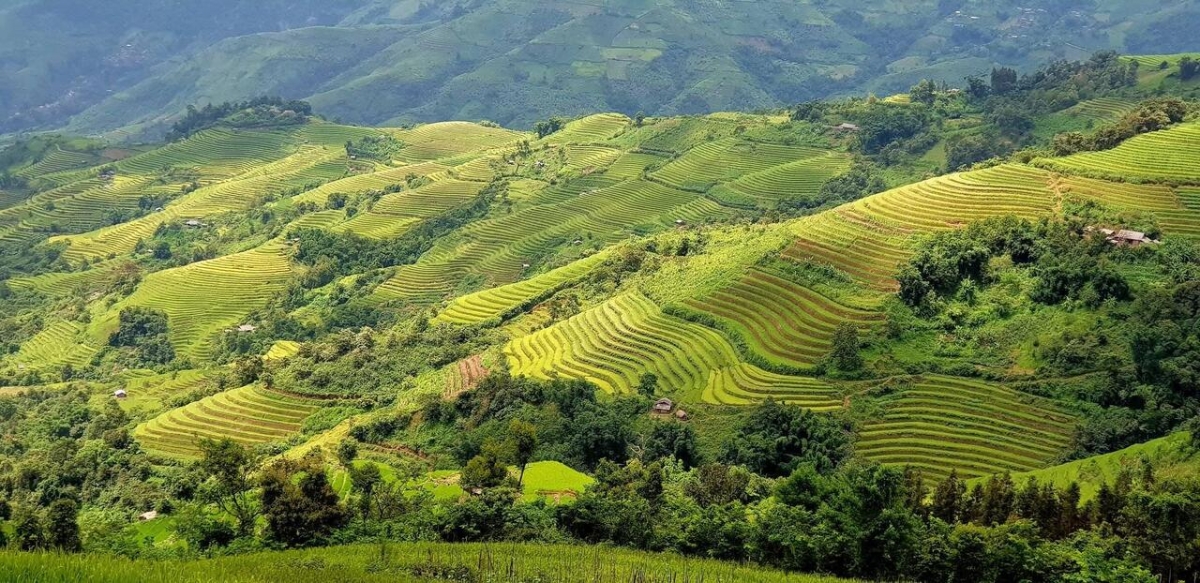 Ruộng bậc thang ở cao nguy&ecirc;n D&agrave;o San (Lai Ch&acirc;u) kh&ocirc;ng chỉ đẹp m&agrave; c&ograve;n kh&aacute; rộng, &iacute;t nơi n&agrave;o c&oacute; được.