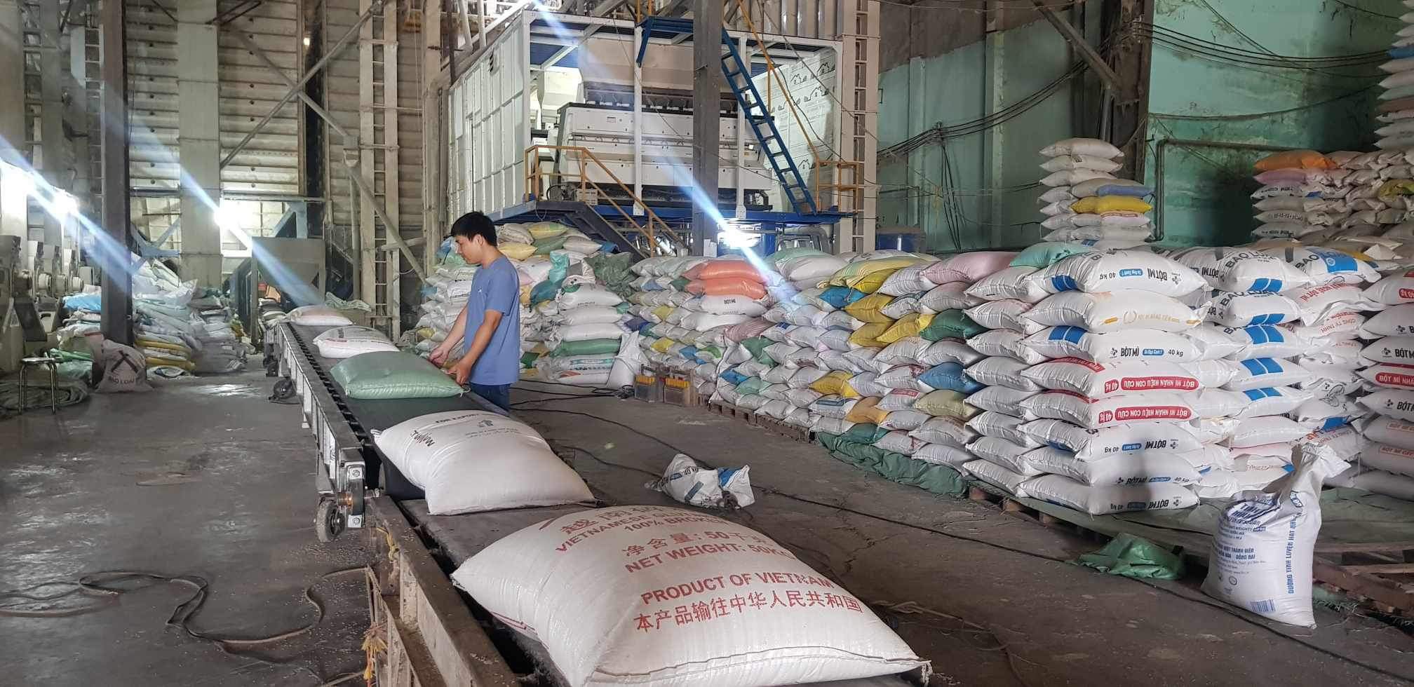 Sản xuất lúa gạo tại Công ty Phước Hưng, Ấp Thới Thuận A, Thị Trấn Thới Lai, Huyện Thới Lai, Cần Thơ. Ảnh: Thanh Huyền.