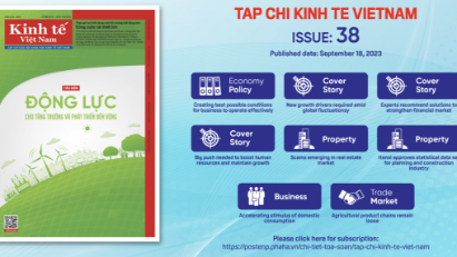 Tap chi Kinh te Viet Nam, Issue 38