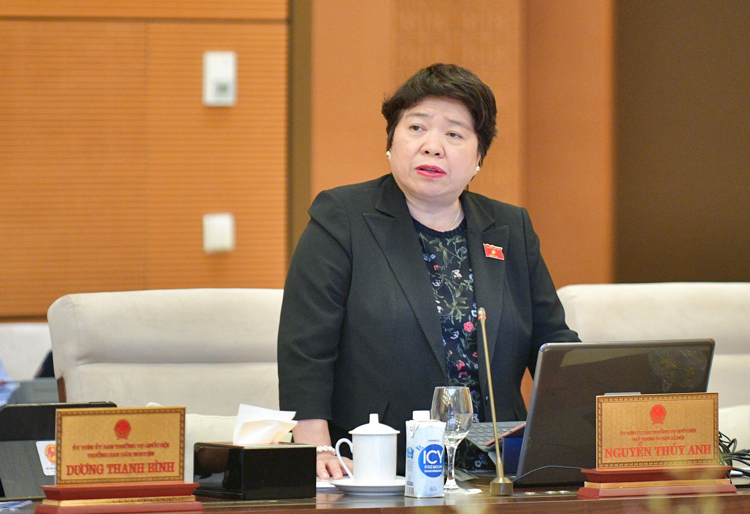 Chủ nhiệm Ủy ban Xã hội Nguyễn Thúy Anh.