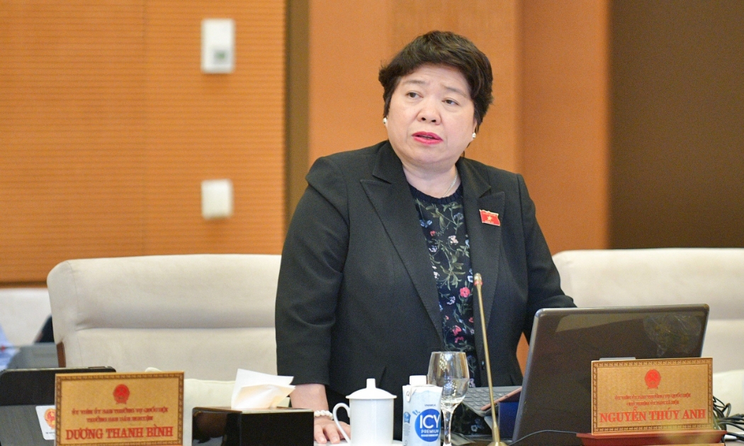 Chủ nhiệm Ủy ban Xã hội Nguyễn Thúy Anh.