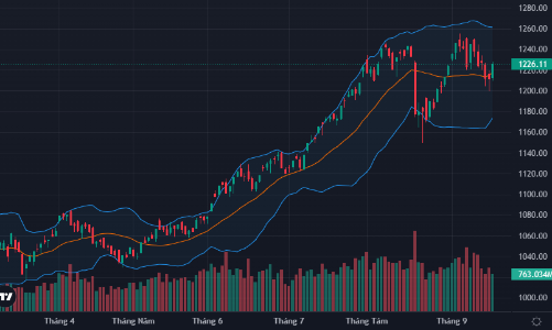 Bùng nổ rực rỡ, nhiều cổ phiếu vừa và nhỏ kịch trần