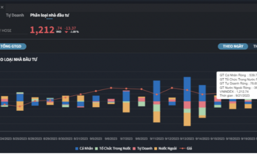 Bất chấp xả hàng, nhà đầu tư cá nhân vẫn mua ròng mạnh gần 540 tỷ đồng