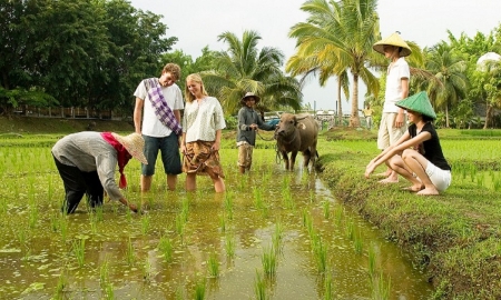 Làm du lịch nông nghiệp cần “độc, lạ” không trùng lắp