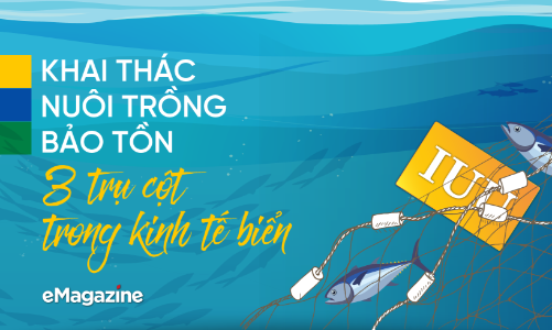 Khai thác - Nuôi trồng -  Bảo tồn: 3 trụ cột trong kinh tế biển