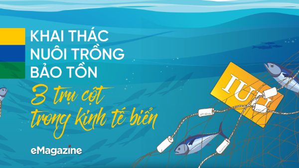 Khai thác - Nuôi trồng - Bảo tồn: 3 trụ cột trong kinh tế biển