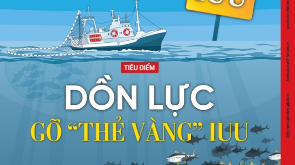 Đón đọc Tạp chí Kinh tế Việt Nam số 39-2023