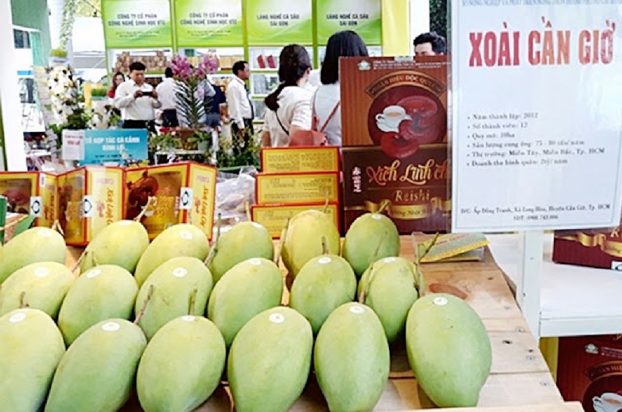 Đặc sản xoài Cát của huyện Cần Giờ, TP.HCM.