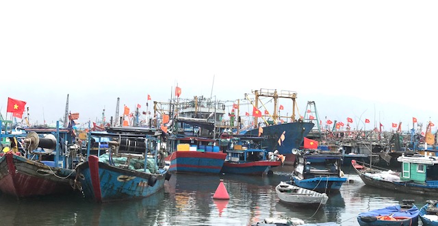 Tàu cá neo đậu trú bão tại âu thuyền Thọ Quang, Đà Nẵng. Ảnh Ngô Anh Văn