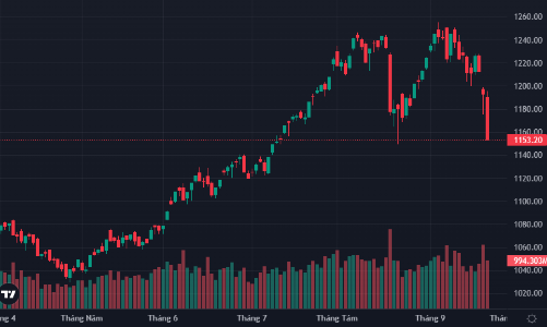 Bán tháo dữ dội, hơn 170 mã giảm sàn, VN-Index có phá đáy?