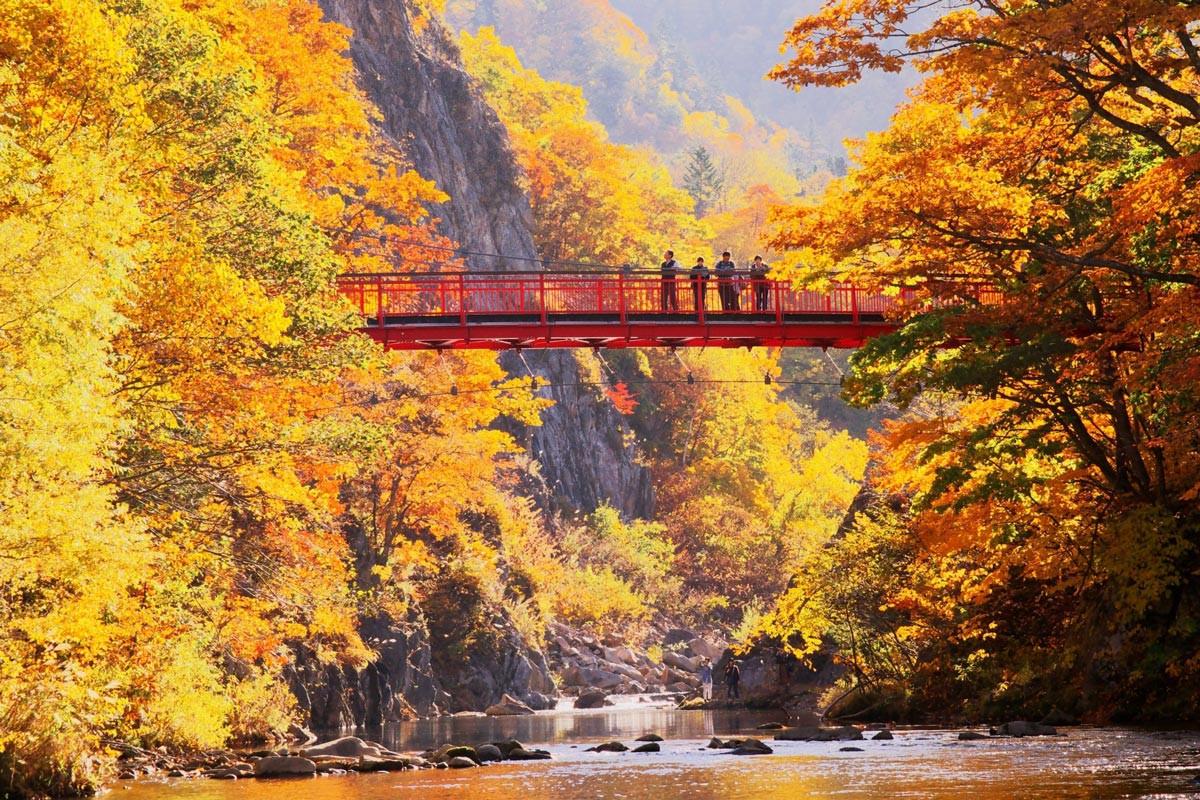 Cảnh sắc mùa lá đỏ tại vùng Hokkaido, Nhật Bản.