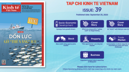 Tap chi Kinh te Viet Nam, Issue 39
