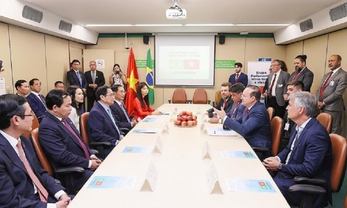 Thúc đẩy khởi động đàm phán FTA Việt Nam và Khối MERCOSUR